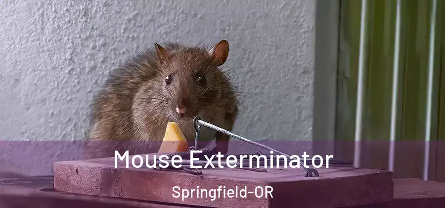 Mouse Exterminator Springfield-OR