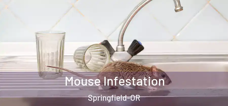  Mouse Infestation Springfield-OR