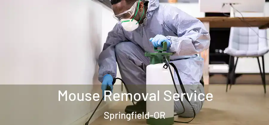 Mouse Removal Service Springfield-OR