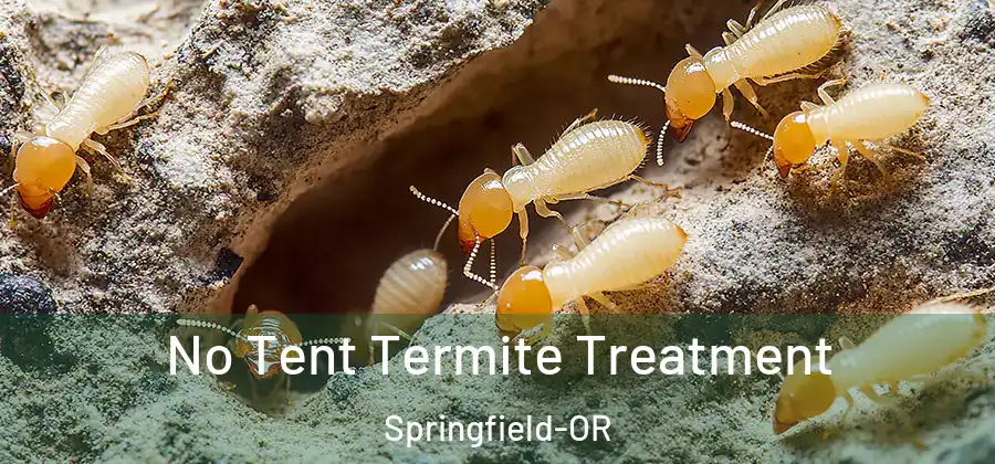 No Tent Termite Treatment Springfield-OR