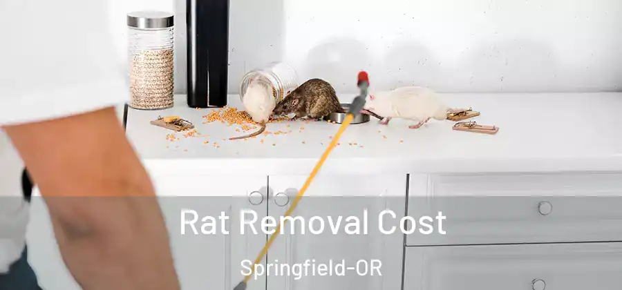 Rat Removal Cost Springfield-OR