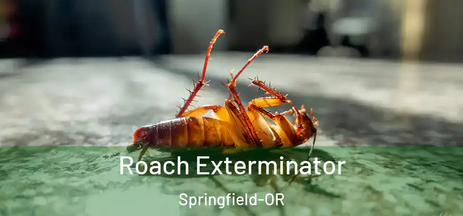 Roach Exterminator Springfield-OR