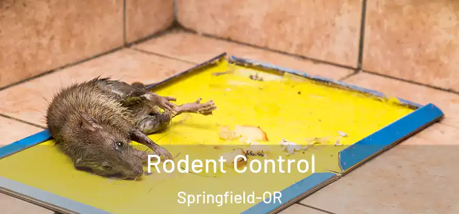 Rodent Control Springfield-OR