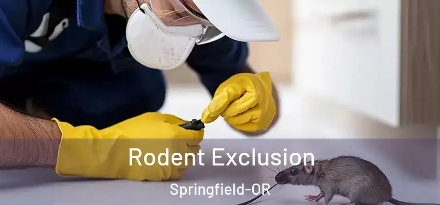 Rodent Exclusion Springfield-OR