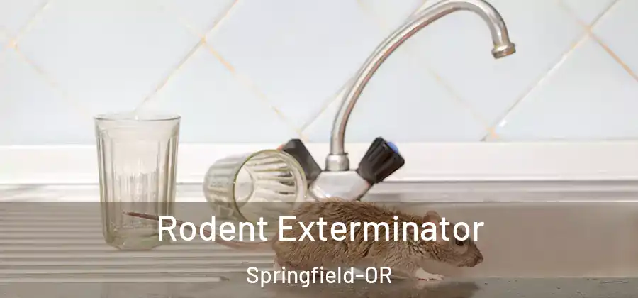 Rodent Exterminator Springfield-OR