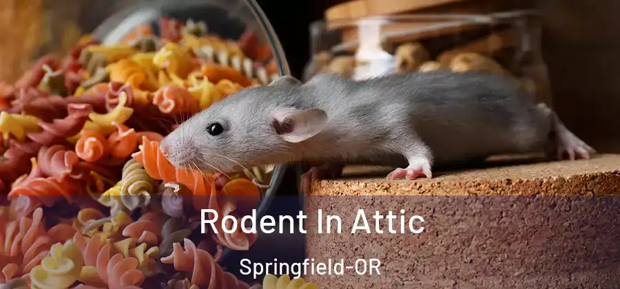 Rodent In Attic Springfield-OR