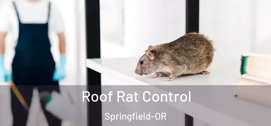 Roof Rat Control Springfield-OR