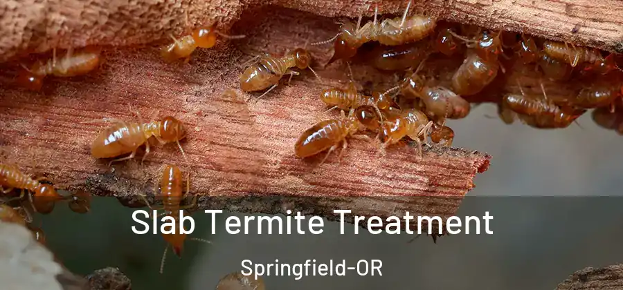 Slab Termite Treatment Springfield-OR