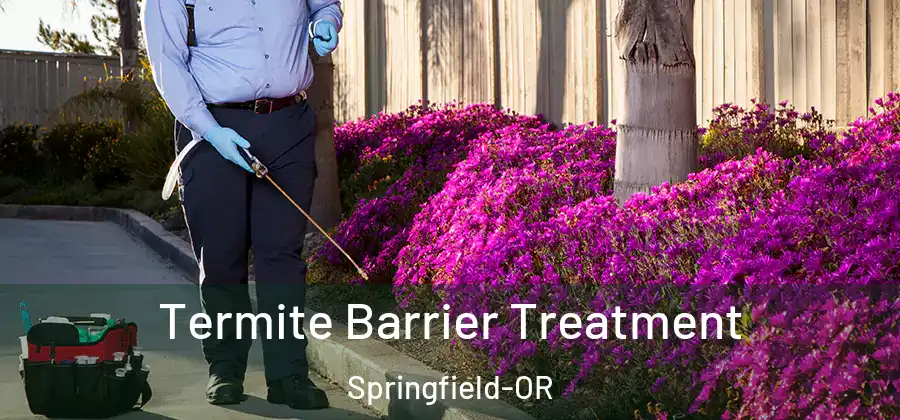 Termite Barrier Treatment Springfield-OR
