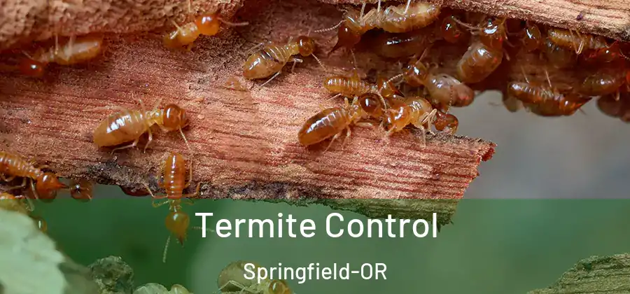 Termite Control Springfield-OR